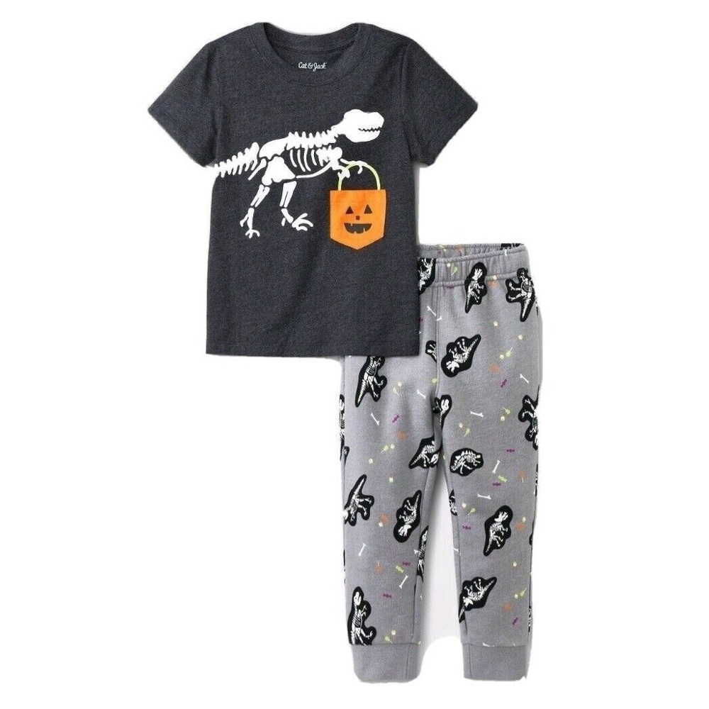 Cat & Jack Toddler Boys T Rex T Shirt & Fleece Jogger 3T